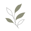 Blume 1